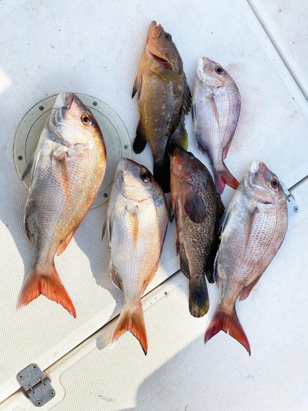 今日はタイラバ釣り